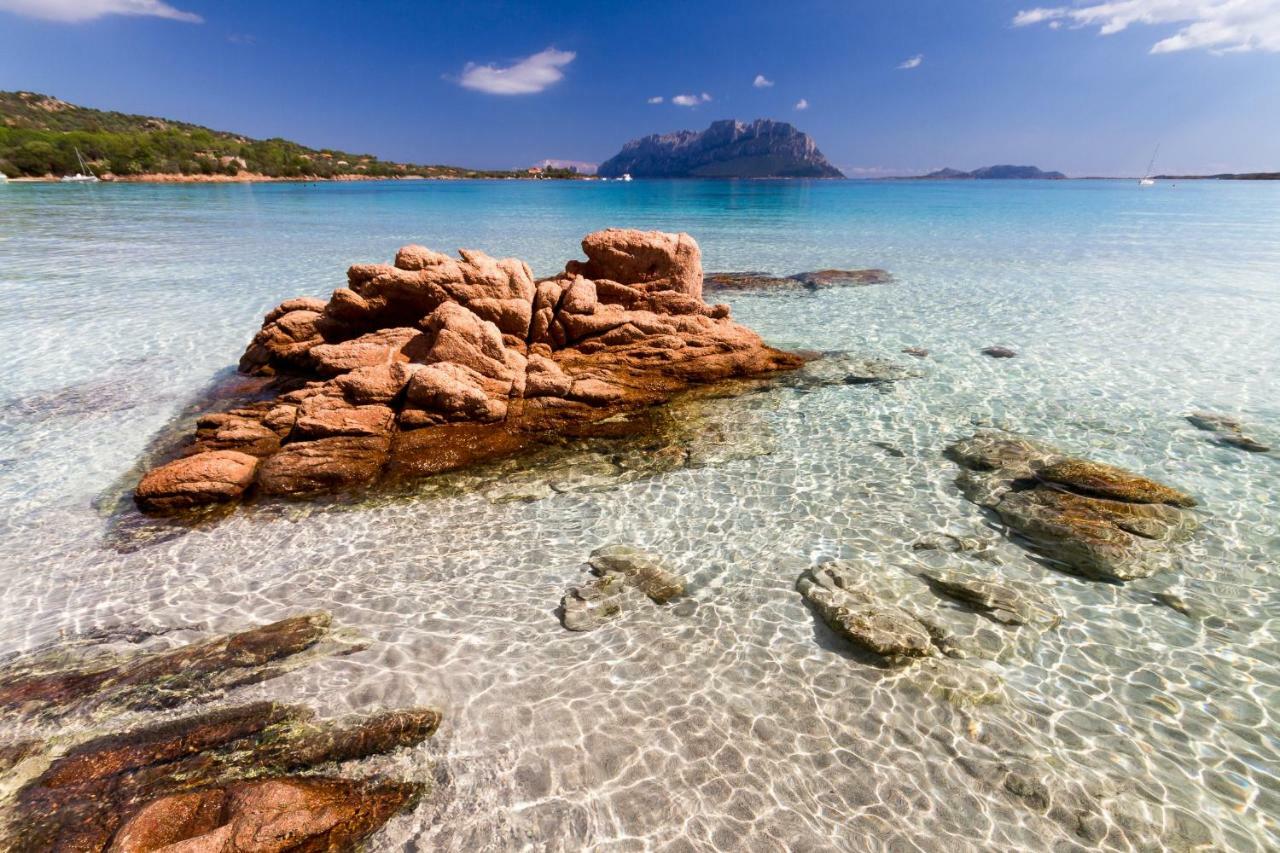 Appartement L'ea Di Lavru - Mono-bilo-trilocali Porto San Paolo (Sardinia)